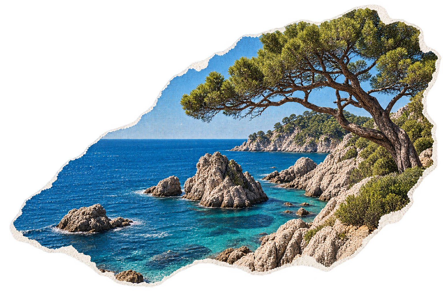Costa mediterránea